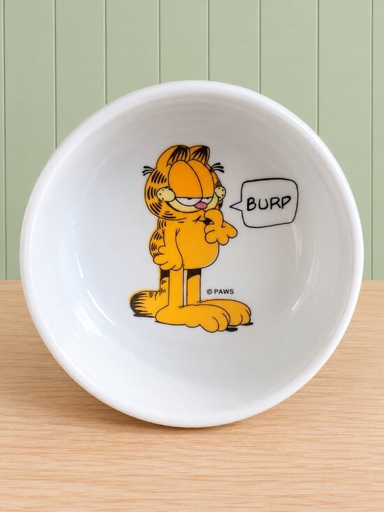 Paws Other - Vintage Garfield My Bowl Pet Dish Ceramic Cat Dog Burp Paws PAWS T.V. Character